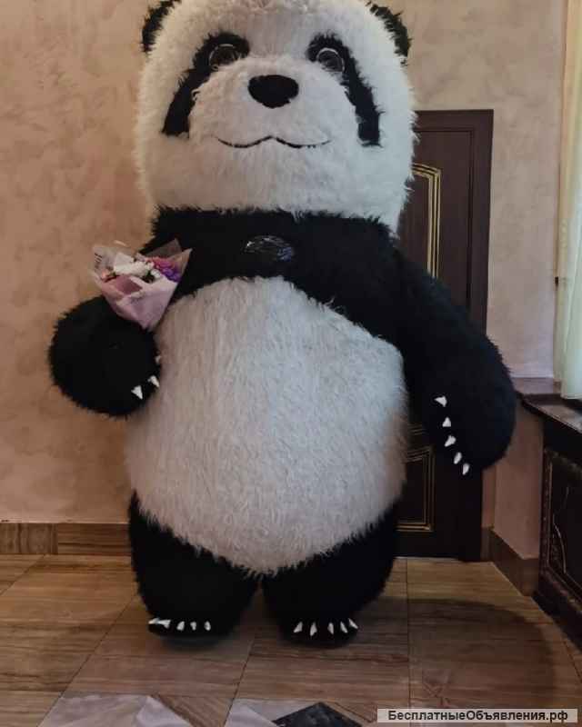 Аниматор Мишка 2.6