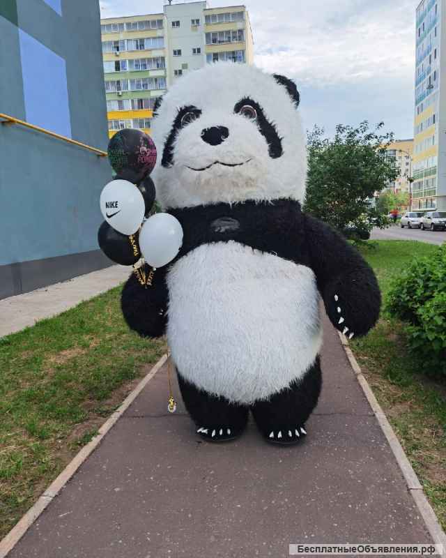 Аниматор Мишка 2.6