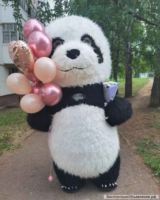 Аниматор Мишка 2.6