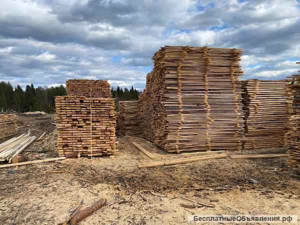 Доска обрезная, сортименты березы
