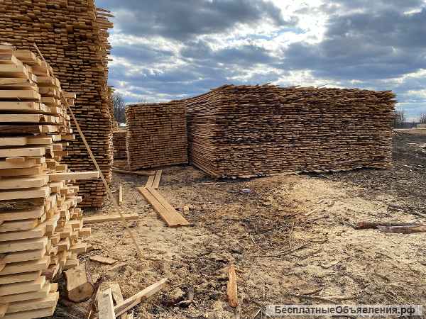 Доска обрезная, сортименты березы