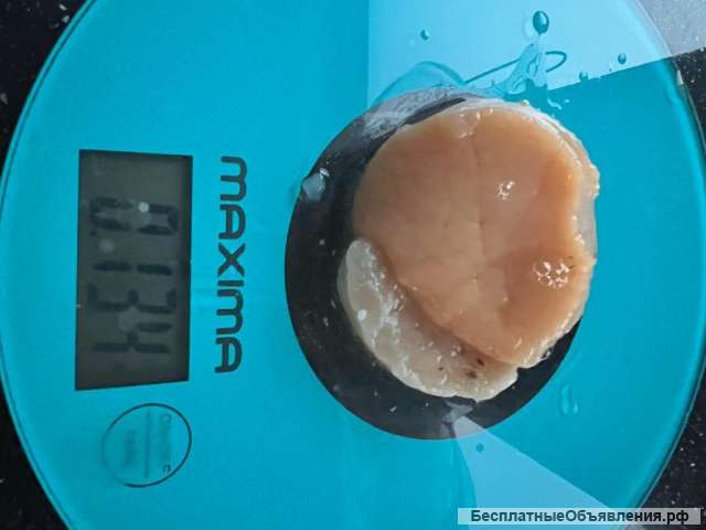 Гребешок приморский свежемороженый