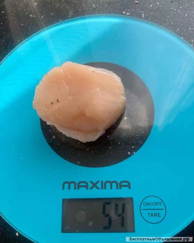 Гребешок приморский свежемороженый