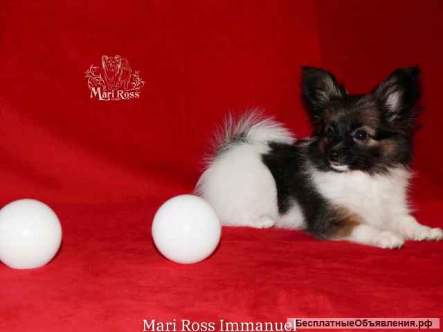 Мальчик - Мари Росс Иммануэль (3 мес.)