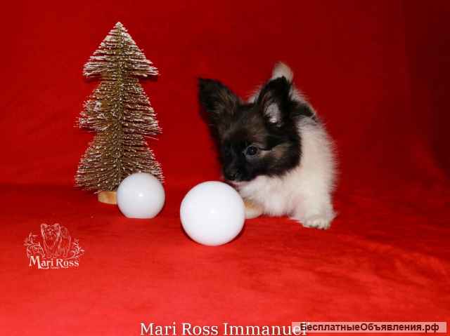 Мальчик - Мари Росс Иммануэль (3 мес.)