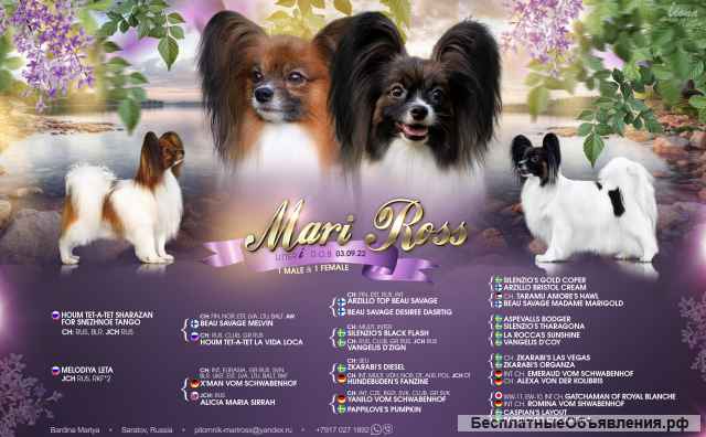 Мальчик - Мари Росс Иммануэль (3 мес.)