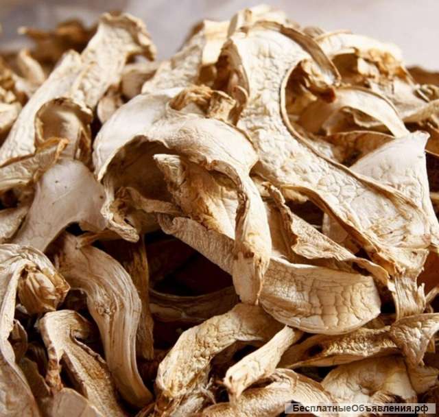 Грибы сушеные с Барнаула