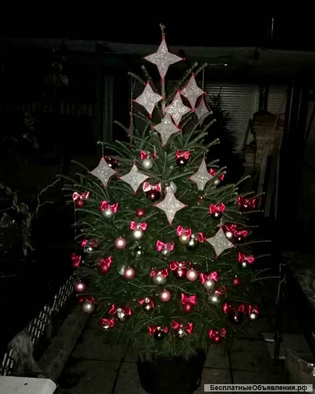 Дизайнерские новогодние елки Симферополь, Ялта, Алушта, Крым