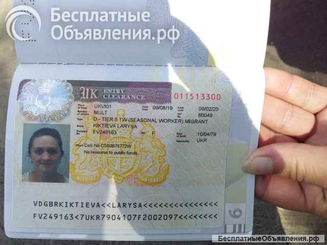 "Работа и вакансии" сезонным работникам на фермах в Англии