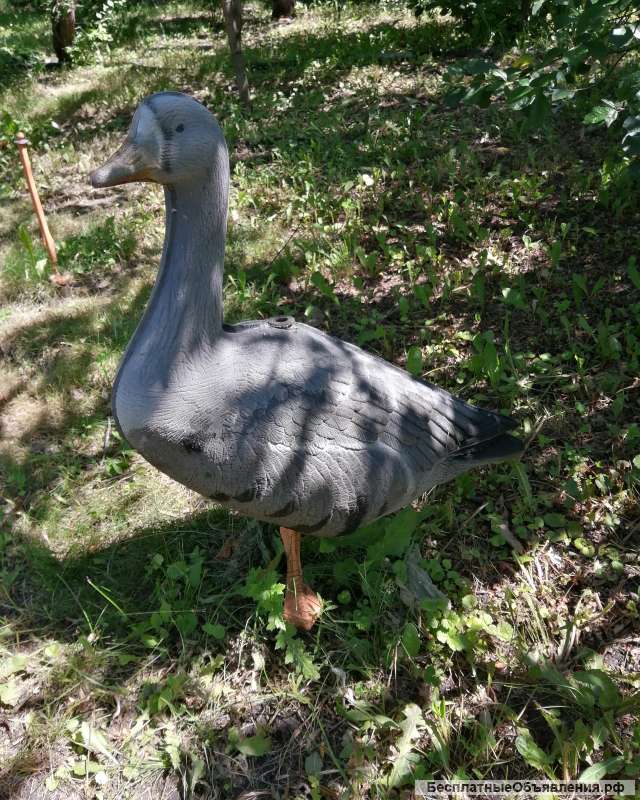 Чучела гусей