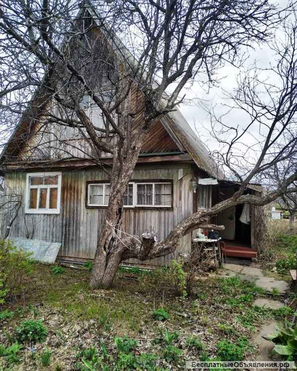 Дачу в Ижевске