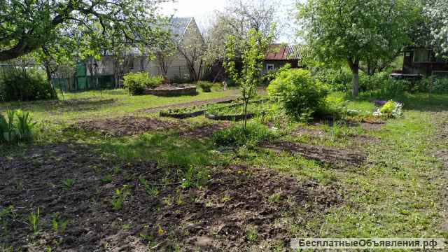 Дачу в Ижевске