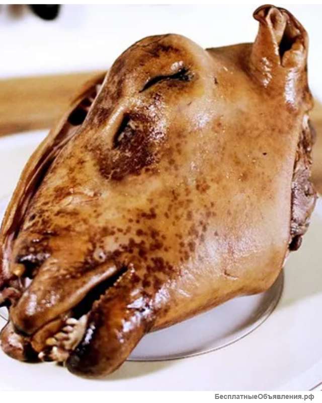 Варёная баранья голова комплект. Холодец говяжий домвшний