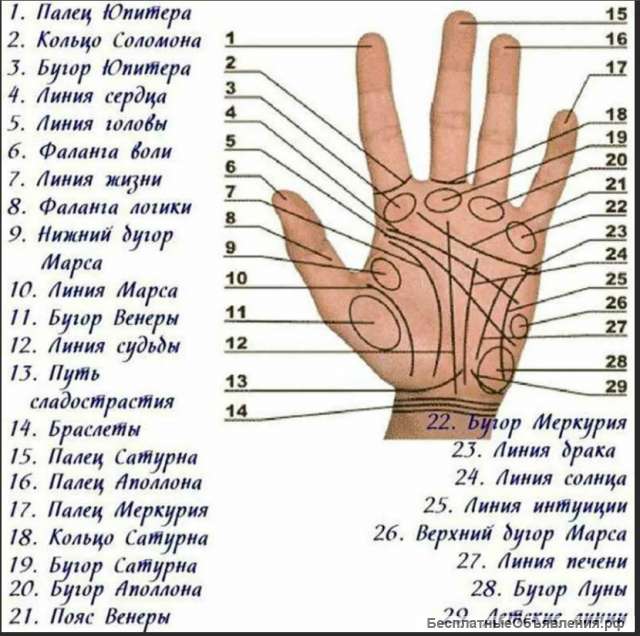 Гадание по руке