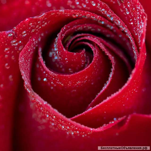 Все виды черной магии. Сделка с Дьяволом