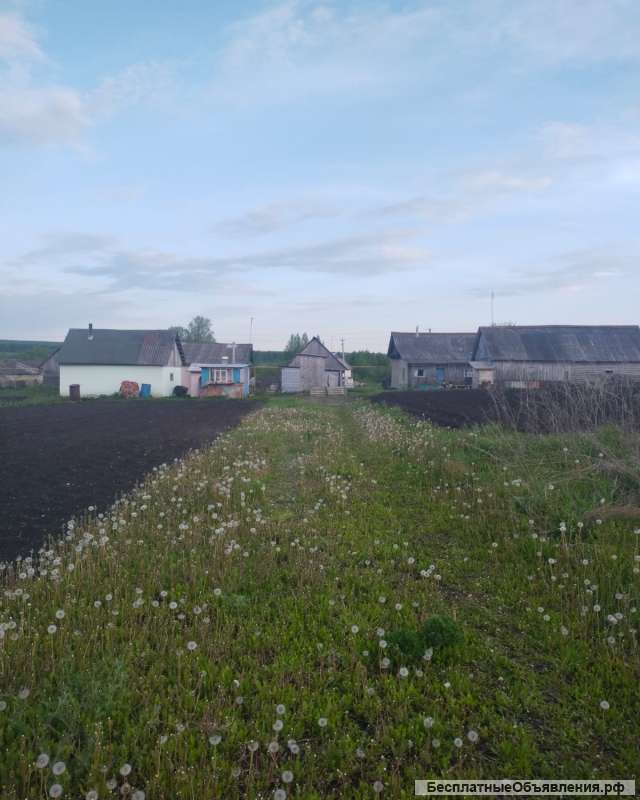 Участок 20 соток