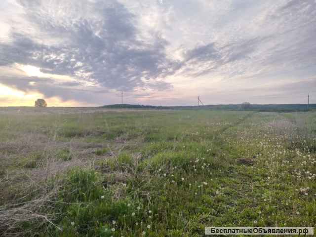 Участок 20 соток