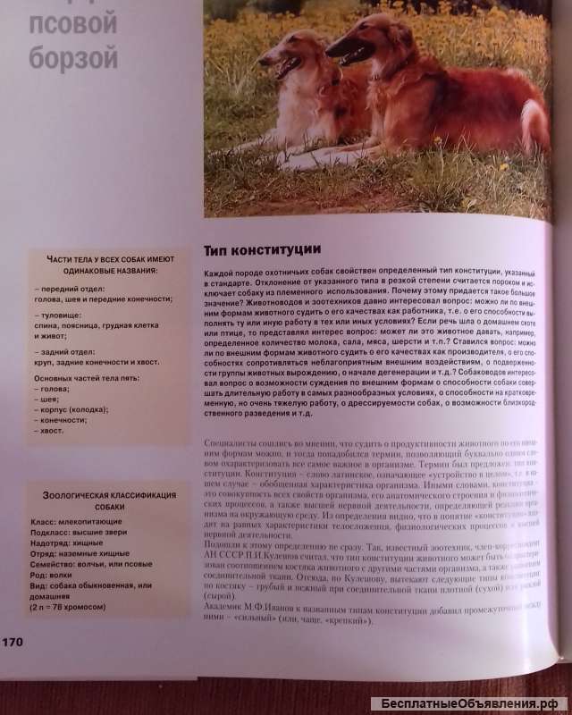 Энциклопедия "Русская псовая борзая"
