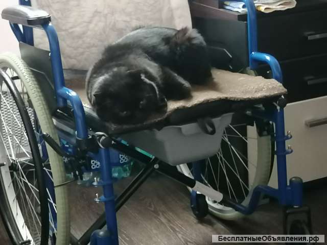 Инвалидное кресло-коляска с санитарным оснащением