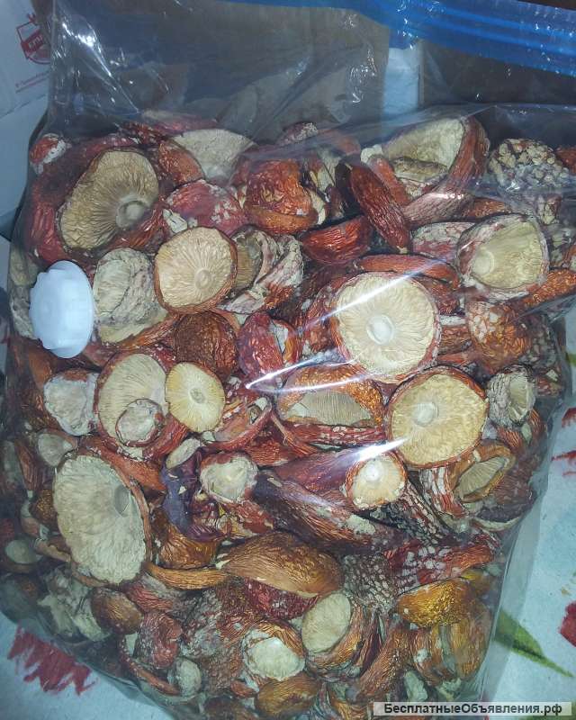 Сушеные шляпки мхм