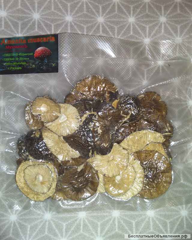 Сушеные шляпки мхм