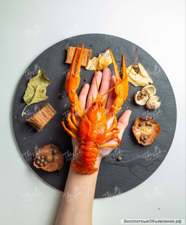 Вкусные Раки с доставкой до двери (Горячими)