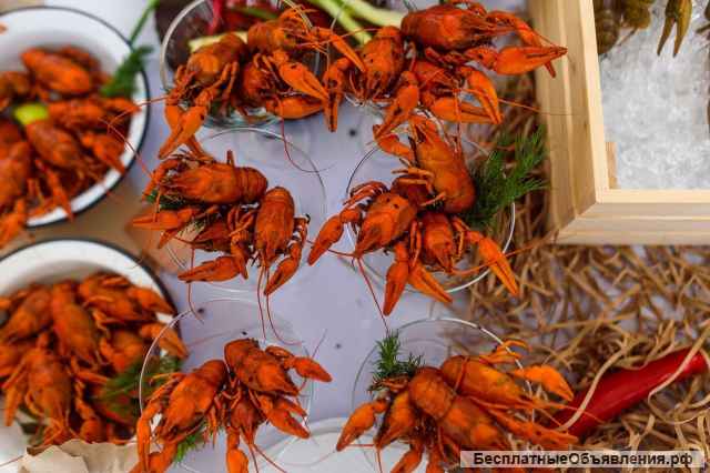 Вкусные Раки с доставкой до двери (Горячими)