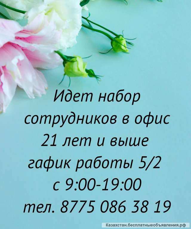 Офисная деятельность