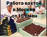 Работа вахтой в Москве с питанием и проживанием