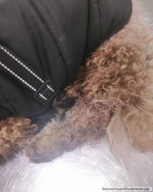 Надеюсь на помощь