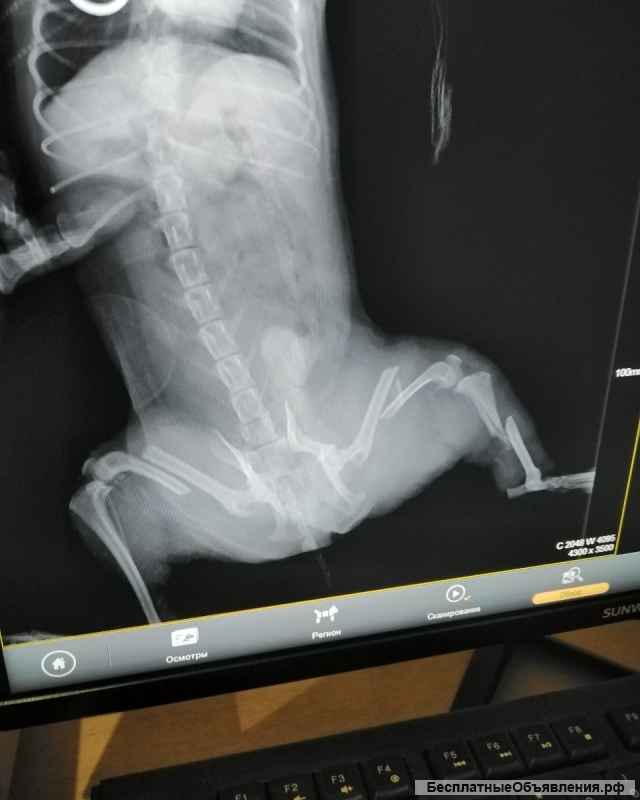 Надеюсь на помощь