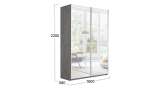 Шкаф-купе 2-х дверный «Траст» (2 зеркала)