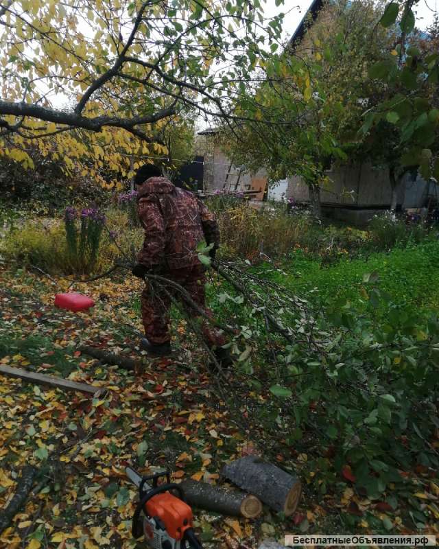 Обрезка и спил деревьев