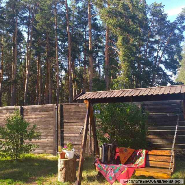 Сдам отдых в Бузулукском бору