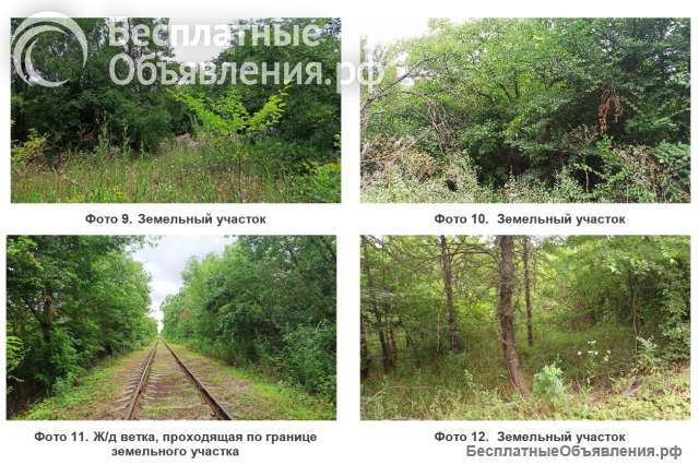 Земельного участка площадью 14 804 кв.м.