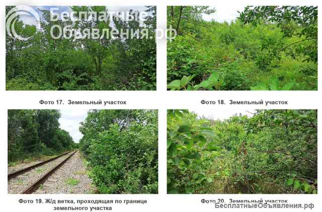 Земельного участка площадью 14 804 кв.м.