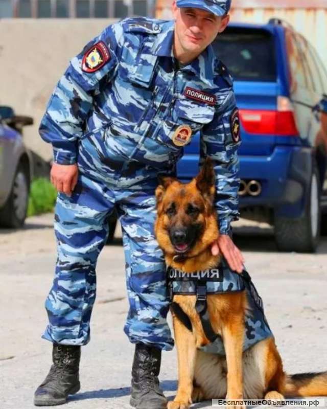 Участковый уполномоченный полиции