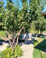 Дом в с.валы