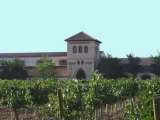 Винзавод с виноградниками в Испании