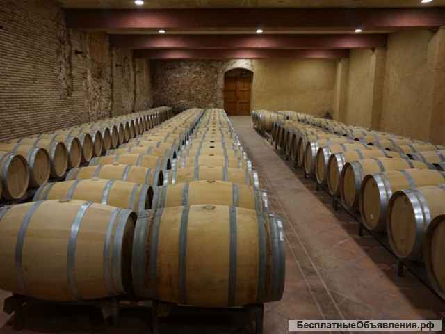 Испания. Винодельня с виноградником