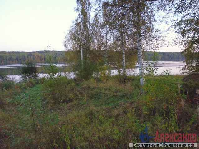 Участок 12 гектар
