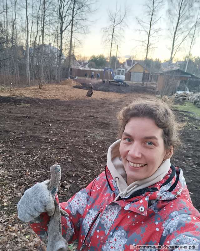 Расчистка участков от деревьев