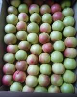 Яблоки от производителя