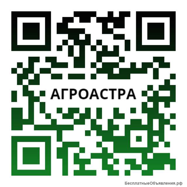 Семена гороха ярового купить Аксайский усатый 7 ЭСО Мадонна Саламанка Клеопатра