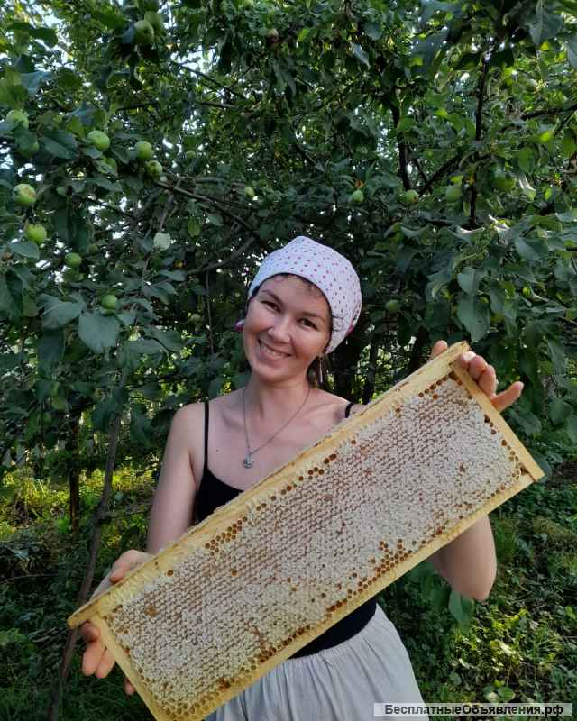 Мёд башкирский с липы