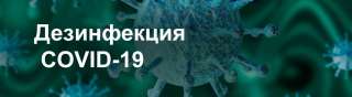 Уничтожение тараканов, клопов, грызунов, насекомых