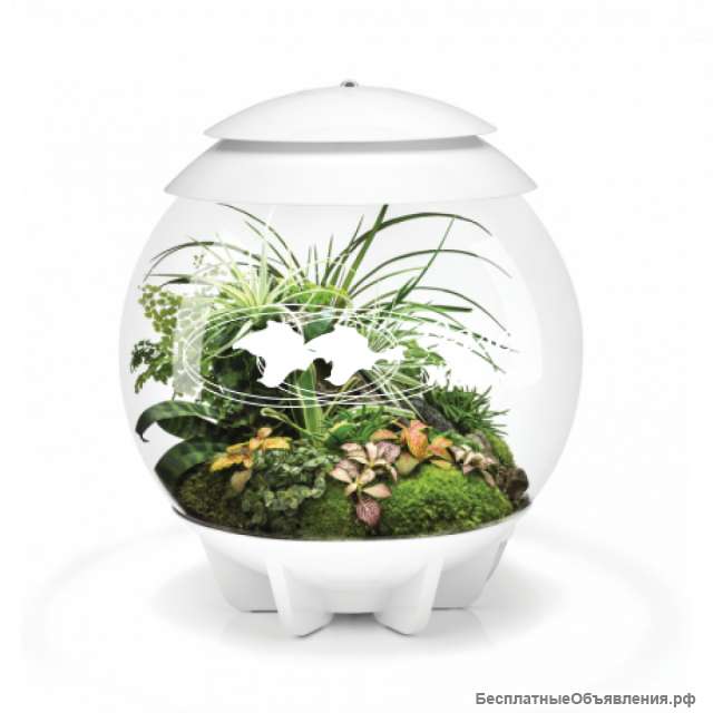 Автоматический ФЛОРАРИУМ