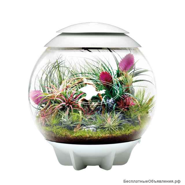 Автоматический ФЛОРАРИУМ