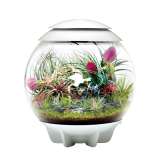 Автоматический ФЛОРАРИУМ