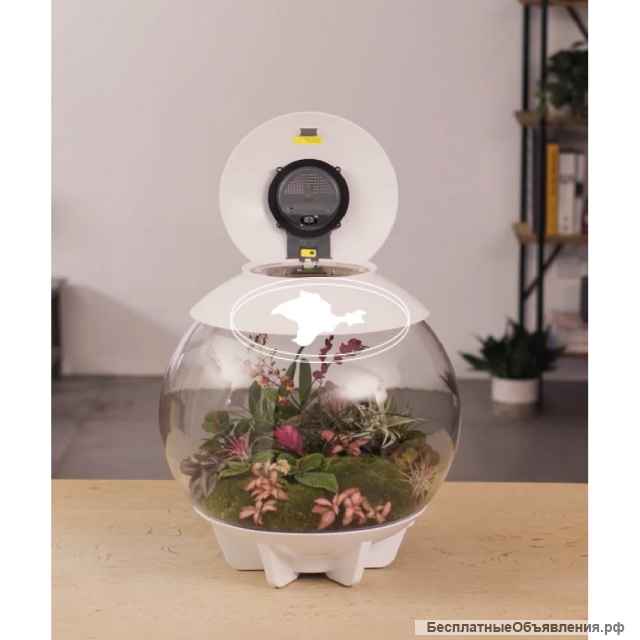 Автоматический ФЛОРАРИУМ